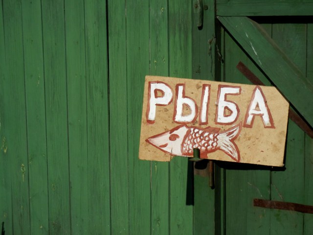 Selling Fish, Baikal