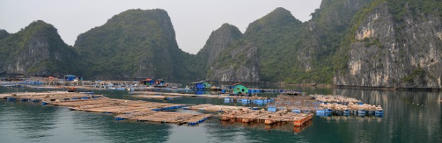 Fishing village Ha Long Bay